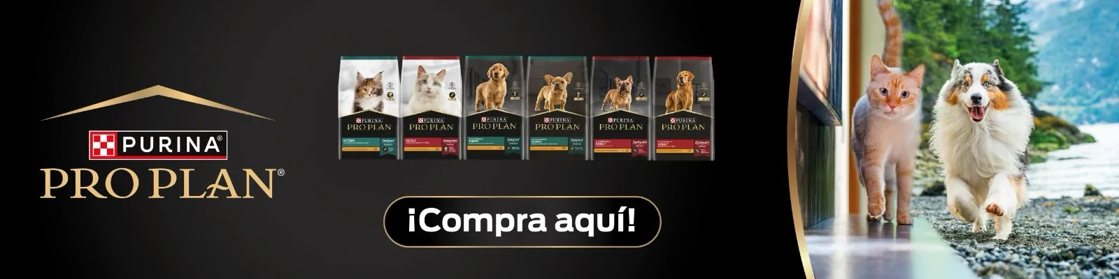 Promoción Manyi