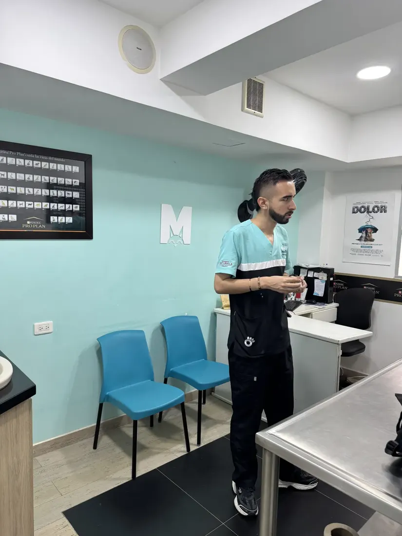 Recepción de la clínica veterinaria Manyi en Sabaneta