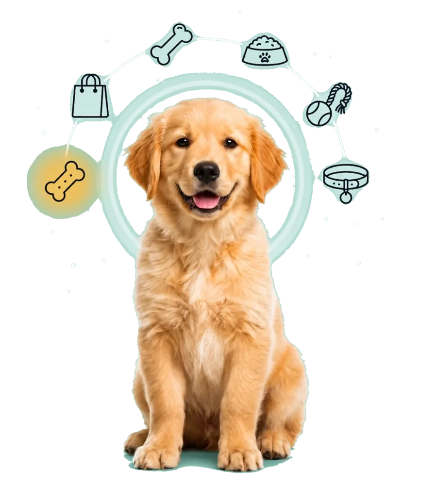 Perro