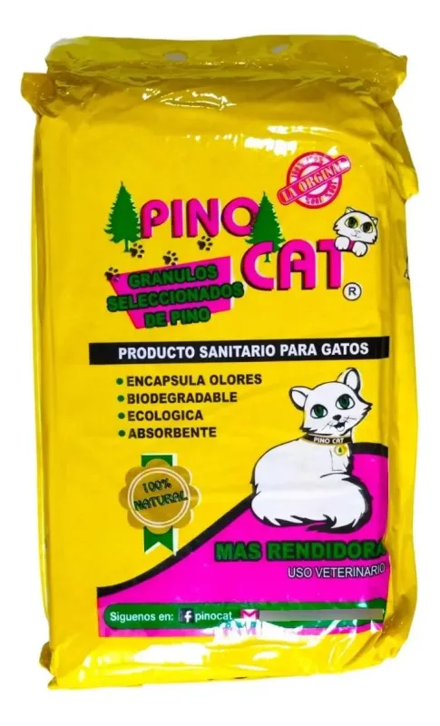 Arena Pinocat