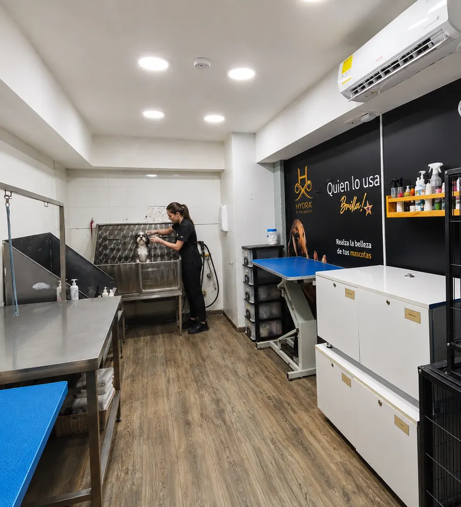 Zona de spa y grooming de Manyi